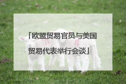欧盟贸易官员与美国贸易代表举行会谈