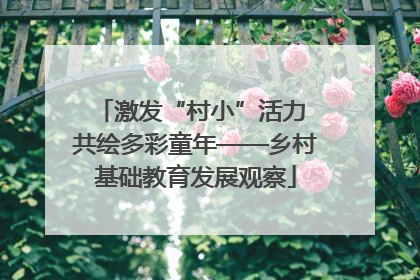 激发“村小”活力 共绘多彩童年——乡村基础教育发展观察