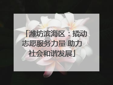 潍坊滨海区：撬动志愿服务力量 助力社会和谐发展