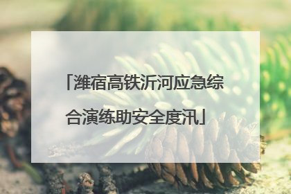 潍宿高铁沂河应急综合演练助安全度汛