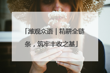 潍观众语｜精耕全链条，筑牢丰收之基