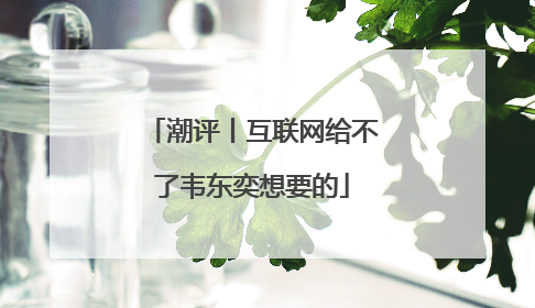 潮评丨互联网给不了韦东奕想要的