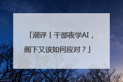 潮评丨干部夜学AI，阁下又该如何应对？
