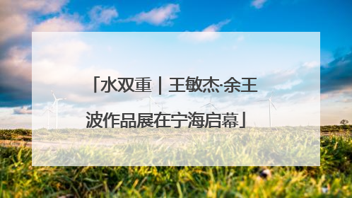 水双重｜王敏杰·余王波作品展在宁海启幕