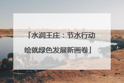 水润王庄：节水行动绘就绿色发展新画卷