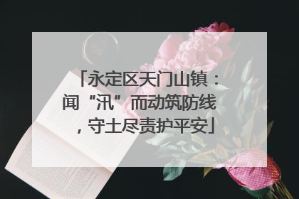 永定区天门山镇：闻“汛”而动筑防线，守土尽责护平安