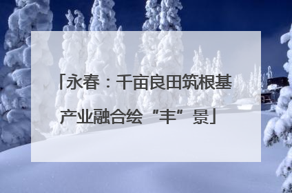 永春：千亩良田筑根基 产业融合绘“丰”景
