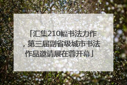 汇集210幅书法力作，第三届副省级城市书法作品邀请展在蓉开幕