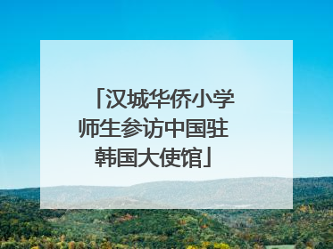 汉城华侨小学师生参访中国驻韩国大使馆