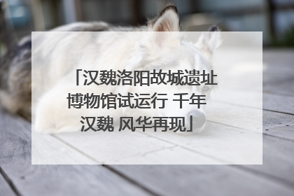 汉魏洛阳故城遗址博物馆试运行 千年汉魏 风华再现