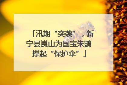 汛期“突袭”，新宁县崀山为国宝朱鹮撑起“保护伞”