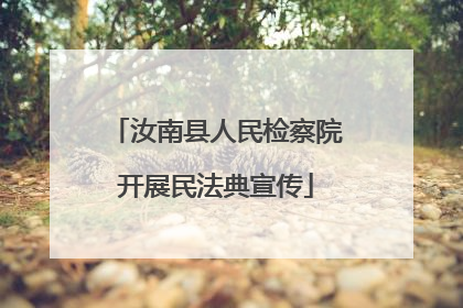 汝南县人民检察院开展民法典宣传