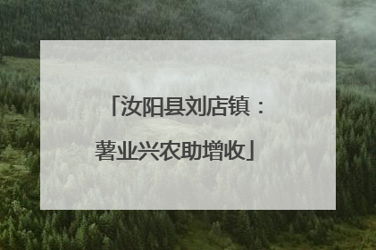 汝阳县刘店镇：薯业兴农助增收