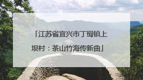 江苏省宜兴市丁蜀镇上坝村：茶山竹海传新曲