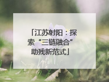 江苏射阳：探索“三链融合”助残新范式