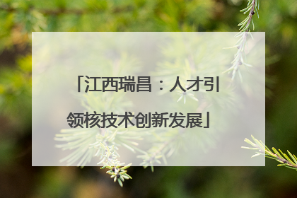 江西瑞昌：人才引领核技术创新发展