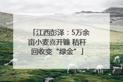 江西彭泽：5万余亩小麦喜开镰 秸秆回收变“绿金”