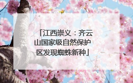 江西崇义：齐云山国家级自然保护区发现蜘蛛新种