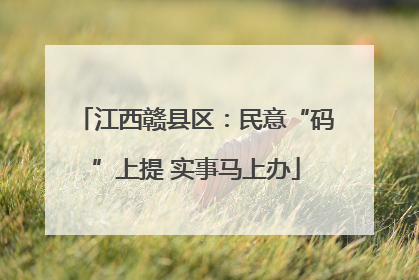江西赣县区：民意“码”上提 实事马上办