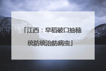江西：早稻破口抽穗 统防统治防病虫