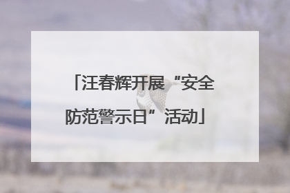 汪春辉开展“安全防范警示日”活动
