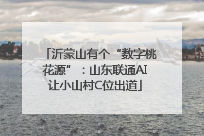 沂蒙山有个“数字桃花源”：山东联通AI让小山村C位出道