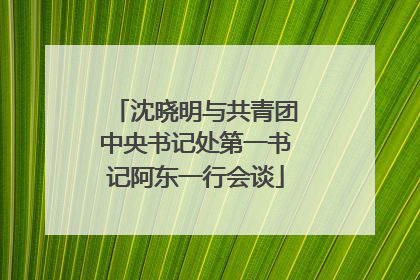 沈晓明与共青团中央书记处第一书记阿东一行会谈