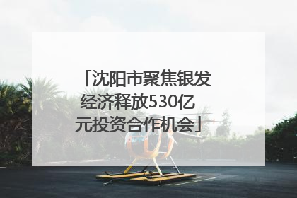 沈阳市聚焦银发经济释放530亿元投资合作机会