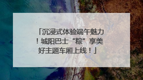 沉浸式体验端午魅力！城阳巴士“粽”享美好主题车厢上线！