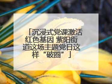 沉浸式党课激活红色基因 紫阳街道这场主题党日这样“破圈”