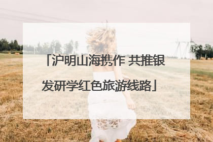 沪明山海携作 共推银发研学红色旅游线路