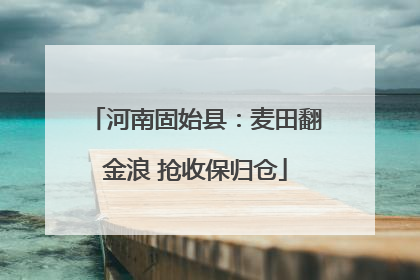 河南固始县：麦田翻金浪 抢收保归仓