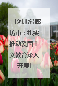 河北省廊坊市：扎实推动爱国主义教育深入开展