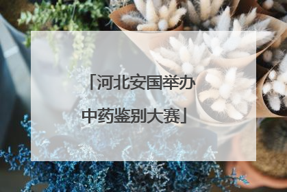 河北安国举办中药鉴别大赛