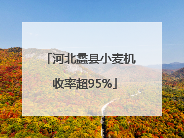 河北蠡县小麦机收率超95%