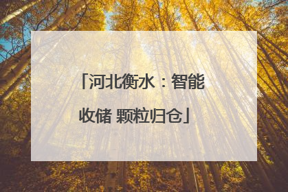河北衡水：智能收储 颗粒归仓