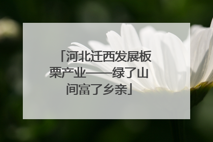 河北迁西发展板栗产业——绿了山间富了乡亲