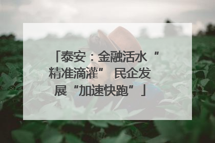 泰安：金融活水“精准滴灌” 民企发展“加速快跑”