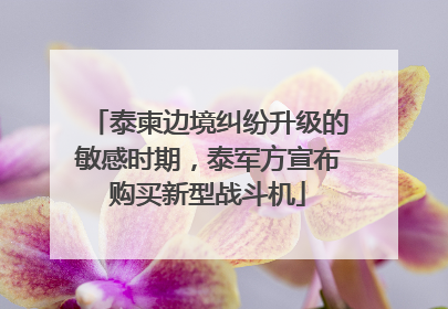 泰柬边境纠纷升级的敏感时期，泰军方宣布购买新型战斗机