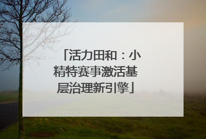 活力田和：小精特赛事激活基层治理新引擎