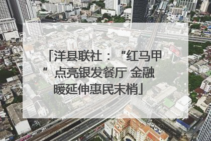 洋县联社：“红马甲”点亮银发餐厅 金融暖延伸惠民末梢