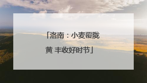 洛南：小麦覆陇黄 丰收好时节