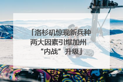 洛杉矶惊现新兵种 两大因素引爆加州“内战”升级