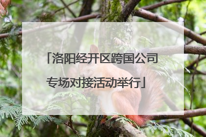 洛阳经开区跨国公司专场对接活动举行