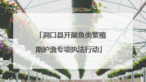 洞口县开展鱼类繁殖期护渔专项执法行动