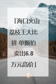 海口火山荔枝王大比拼 单颗拍卖出6.8万元高价