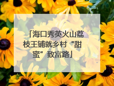 海口秀英火山荔枝王铺就乡村“甜蜜”致富路