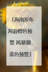海南发布海浪橙色预警 风暴潮蓝色预警