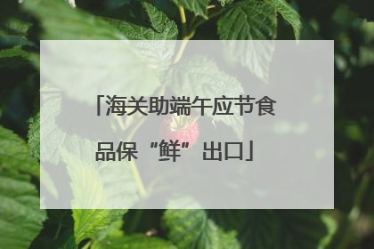 海关助端午应节食品保“鲜”出口