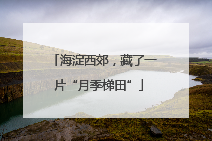 海淀西郊，藏了一片“月季梯田”